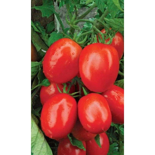 Семена Томат Испанский Красный 15шт (УД) Е/П