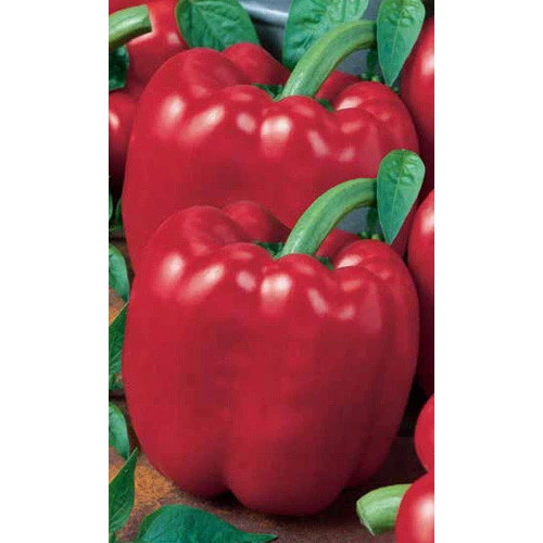 Семена Перец сладкий Калифорнийское Чудо 0,25гр (Марс) Б/П