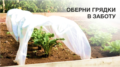 Оберни грядки в заботу! Оберни грядки в заботу!