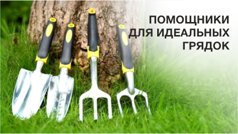 Помощники для идеальных грядок Помощники для идеальных грядок