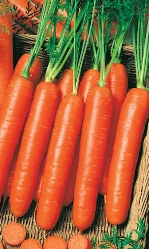 Семена Морковь Нантская отборная 2 гр (МАРС) Б/П