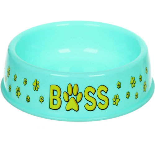 Миска пластиковая "МОЙ БРО - БОСС!, цвет мятный 21*6,5см (логотип на миске) 700мл