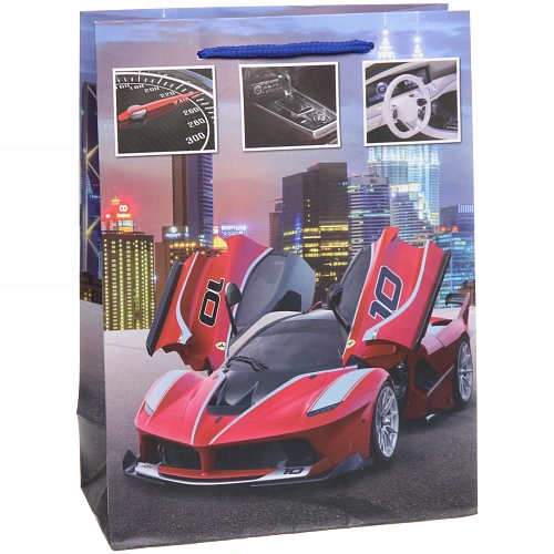 Пакет подарочный Гонка 18248,5 см_5