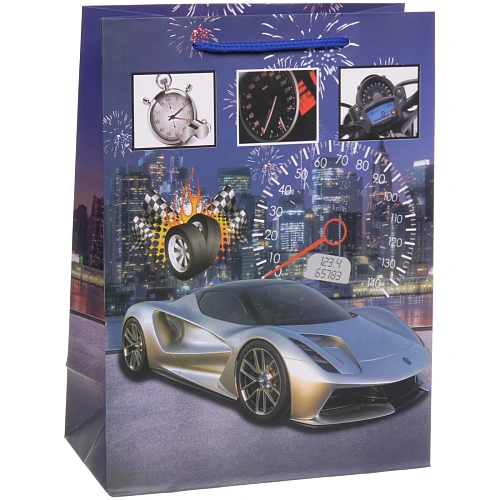 Пакет подарочный Гонка 18248,5 см_6