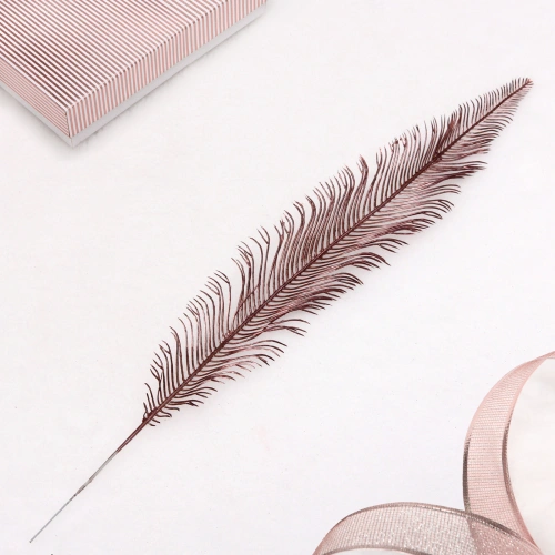 Ветка декоративная "Волшебное перо" 53 см, Шоколад