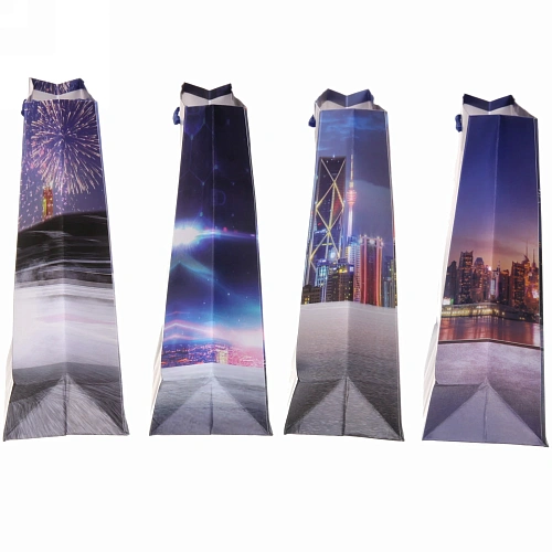 Пакет подарочный Гонка 18248,5 см_7