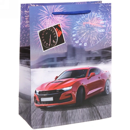 Пакет подарочный Гонка 18248,5 см_3